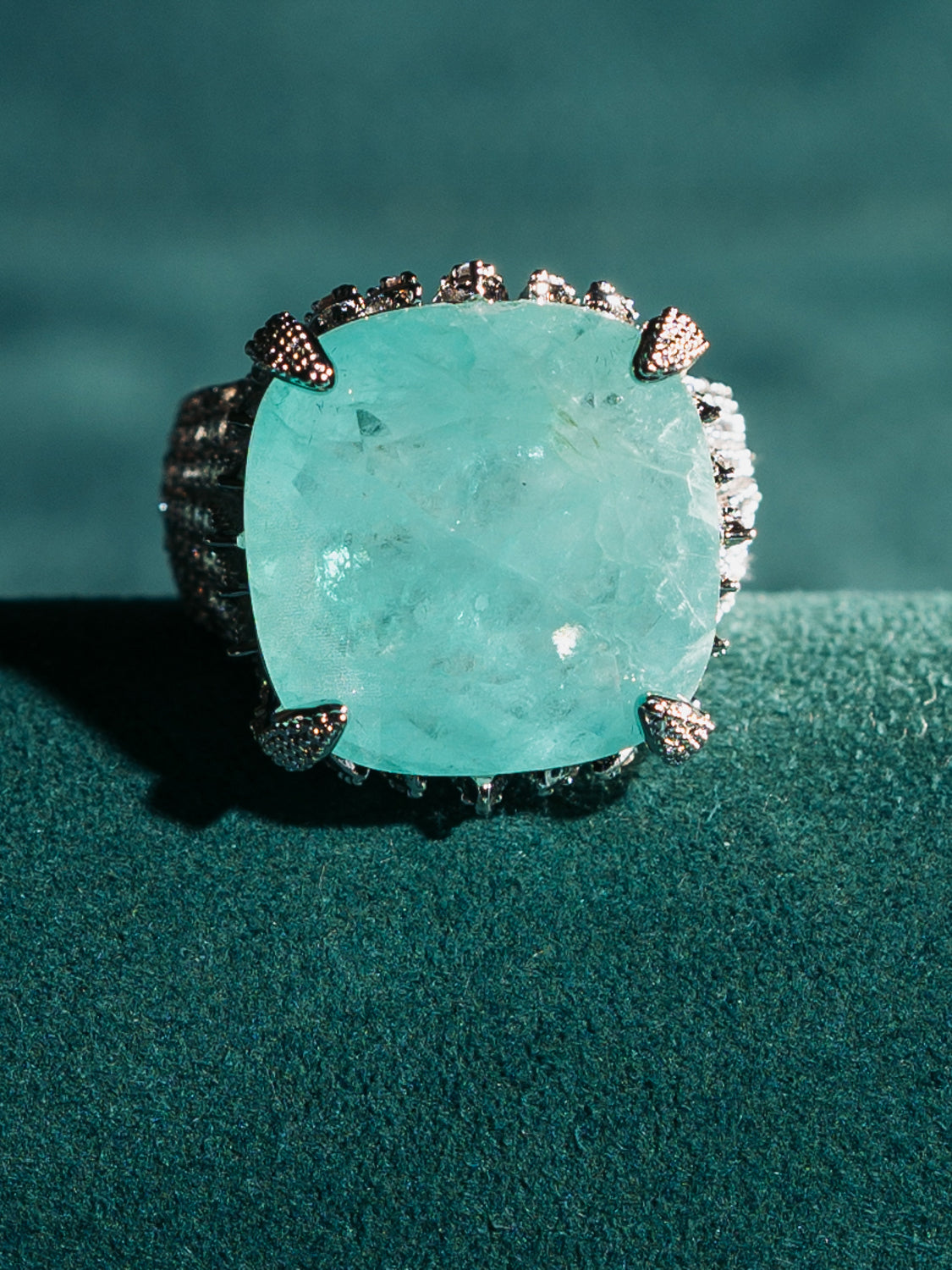 Brincos Opulence Paraíba